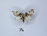  ( - ANHRTUK00112155)  @11 [ ] Copyright (2021) Unspecified ANHRT