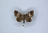  ( - ANHRTUK00113726)  @11 [ ] Copyright (2021) Unspecified ANHRT