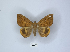  ( - ANHRTUK00114744)  @11 [ ] Copyright (2021) Unspecified ANHRT