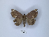  ( - ANHRTUK00114753)  @11 [ ] Copyright (2021) Unspecified ANHRT