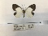  ( - ANHRTUK00115218)  @11 [ ] COPYRIGHT (2021) Unspecified ANHRT
