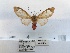  ( - ANHRTUK00117470)  @11 [ ] COPYRIGHT (2021) Unspecified ANHRT