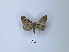  ( - ANHRTUK00121354)  @11 [ ] Copyright (2021) Unspecified ANHRT
