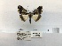  ( - ANHRTUK00123091)  @11 [ ] COPYRIGHT (2021) Unspecified ANHRT