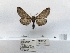  ( - ANHRTUK00123236)  @11 [ ] COPYRIGHT (2021) Unspecified ANHRT