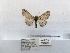  ( - ANHRTUK00124763)  @11 [ ] COPYRIGHT (2021) Unspecified ANHRT