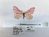  ( - ANHRTUK00125175)  @11 [ ] COPYRIGHT (2021) Unspecified ANHRT