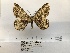 ( - ANHRTUK00132432)  @11 [ ] COPYRIGHT (2021) Unspecified ANHRT