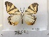  ( - ANHRTUK00132645)  @11 [ ] COPYRIGHT (2021) Unspecified ANHRT