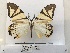  ( - ANHRTUK00132660)  @11 [ ] COPYRIGHT (2021) Unspecified ANHRT