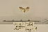  ( - ANHRTUK00134358)  @11 [ ] COPYRIGHT (2021) Unspecified ANHRT