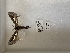  ( - ANHRTUK00136251)  @11 [ ] copyright (2021) Unspecified ANHRT