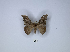  ( - ANHRTUK00137010)  @11 [ ] Copyright (2021) Unspecified ANHRT