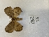  ( - ANHRTUK00139262)  @11 [ ] copyright (2021) Unspecified ANHRT