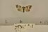  ( - ANHRTUK00139731)  @11 [ ] COPYRIGHT (2021) Unspecified ANHRT