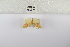  ( - ANHRTUK-00139802)  @11 [ ] Copyright (2021) Unspecified ANHRT
