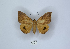  ( - ANHRTUK00140430)  @11 [ ] Copyright (2021) Unspecified ANHRT