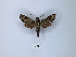 ( - ANHRTUK00142160)  @11 [ ] Copyright (2021) Unspecified ANHRT