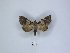  ( - ANHRTUK00144339)  @11 [ ] Copyright (2021) Unspecified ANHRT