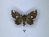  ( - ANHRTUK00144469)  @11 [ ] Copyright (2021) Unspecified ANHRT