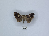  ( - ANHRTUK00145624)  @11 [ ] Copyright (2021) Unspecified ANHRT