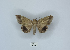  ( - ANHRTUK00145762)  @11 [ ] Copyright (2021) Unspecified ANHRT
