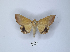  ( - ANHRTUK00145769)  @11 [ ] Copyright (2021) Unspecified ANHRT