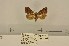  ( - ANHRTUK00147895)  @11 [ ] COPYRIGHT (2021) Unspecified ANHRT