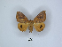  ( - ANHRTUK00147948)  @11 [ ] Copyright (2021) Unspecified ANHRT