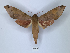  ( - ANHRTUK00149503)  @11 [ ] Copyright (2021) Unspecified ANHRT