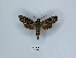  ( - ANHRTUK00149509)  @11 [ ] Copyright (2021) Unspecified ANHRT