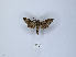  ( - ANHRTUK00149814)  @11 [ ] Copyright (2021) Unspecified ANHRT