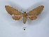  ( - ANHRTUK00149873)  @11 [ ] Copyright (2021) Unspecified ANHRT