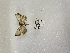  ( - ANHRTUK00150463)  @11 [ ] copyright (2021) Unspecified ANHRT