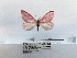  ( - ANHRTUK00150468)  @11 [ ] COPYRIGHT (2021) Unspecified ANHRT