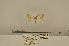  ( - ANHRTUK00150908)  @11 [ ] COPYRIGHT (2021) Unspecified ANHRT