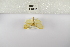  ( - ANHRTUK-00152855)  @11 [ ] Copyright (2021) Unspecified ANHRT