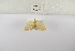 ( - ANHRTUK-00152856)  @11 [ ] Copyright (2021) Unspecified ANHRT