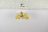  ( - ANHRTUK-00152857)  @11 [ ] Copyright (2021) Unspecified ANHRT
