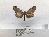  ( - ANHRTUK00155910)  @11 [ ] COPYRIGHT (2021) Unspecified ANHRT