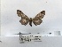  ( - ANHRTUK00157389)  @11 [ ] COPYRIGHT (2021) Unspecified ANHRT