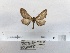  ( - ANHRTUK00159442)  @11 [ ] COPYRIGHT (2021) Unspecified ANHRT