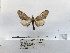  ( - ANHRTUK00159615)  @11 [ ] COPYRIGHT (2021) Unspecified ANHRT