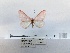  ( - ANHRTUK00160182)  @11 [ ] COPYRIGHT (2021) Unspecified ANHRT