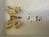  ( - ANHRTUK00164008-2)  @11 [ ] copyright (2021) Unspecified ANHRT