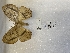  ( - ANHRTUK00164009-2)  @11 [ ] copyright (2021) Unspecified ANHRT