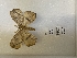  ( - ANHRTUK00164010)  @11 [ ] copyright (2021) Unspecified ANHRT