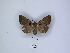  ( - ANHRTUK00165064)  @11 [ ] Copyright (2021) Unspecified ANHRT