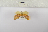  ( - ANHRTUK-00165878)  @11 [ ] Copyright (2021) Unspecified ANHRT