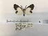  ( - ANHRTUK00167844)  @11 [ ] COPYRIGHT (2021) Unspecified ANHRT